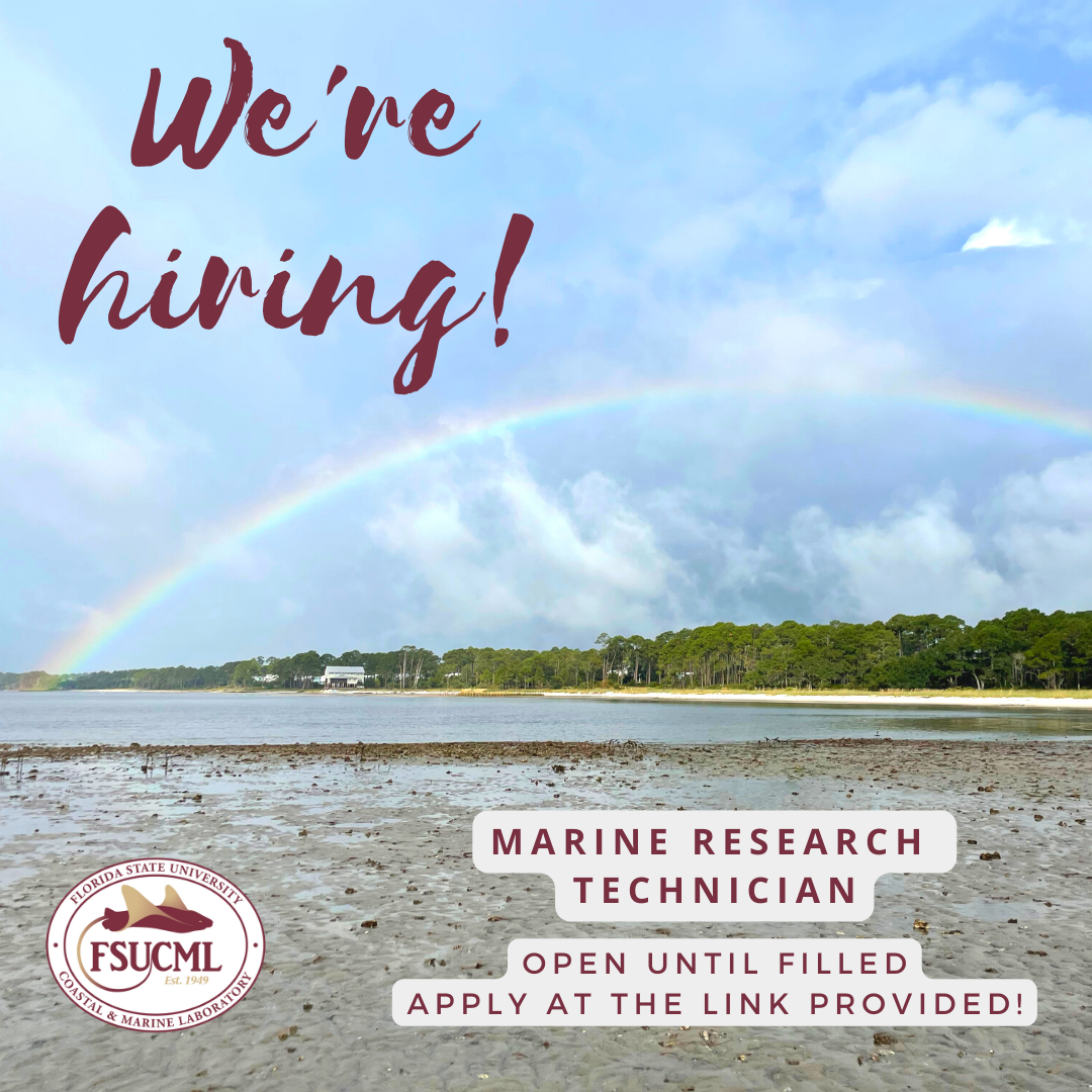 Marine Research Technician Bay County Chamber of Commerce